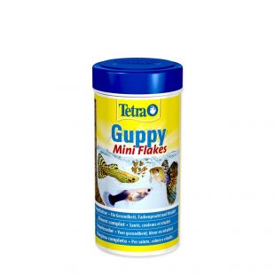 TetraGuppy vločky 100ml