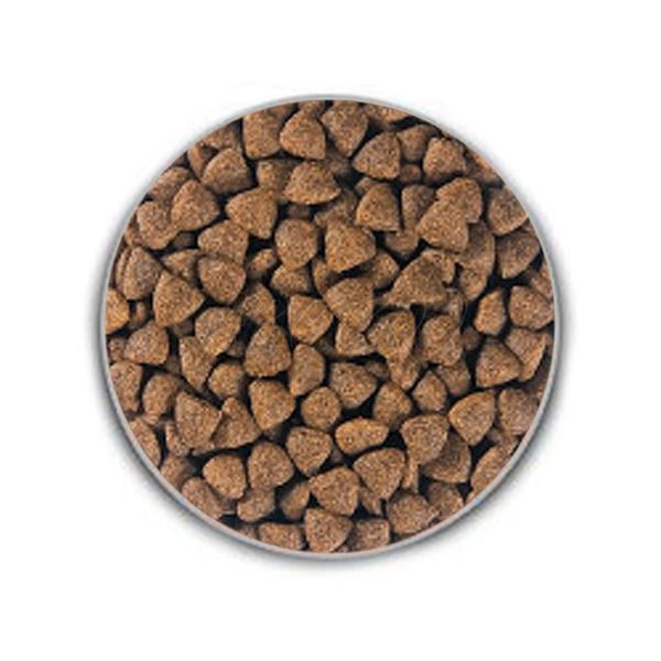 royal canin medium junior 15 kg shopakva royal canin medium junior 15 kg shopakva