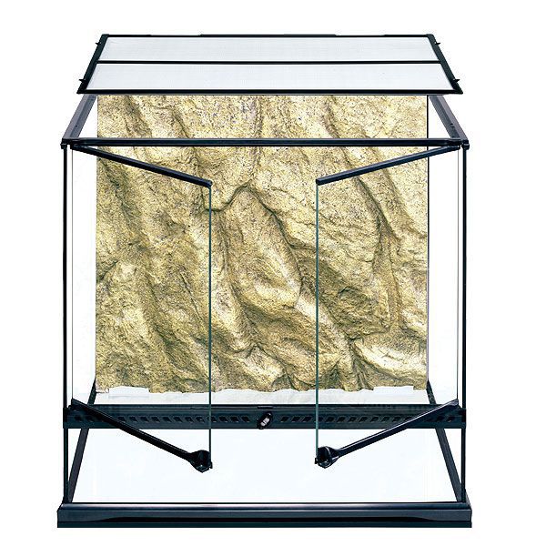 Terárium s pozadím vyrobené zo skla 60 x 45 x 60 cm