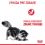 Royal Canin Digestive Care granule pre mačky pre správne trávenie 10 kg