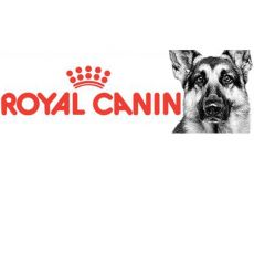 Čistokrvní psi Royal Canin