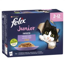Felix Fantastic Junior lahodný výber 12 x 85 g