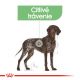ROYAL CANIN MAXI Digestive care 3kg
