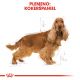 ROYAL CANIN Cocker Adult granule pre dospelého kokeršpaniela 3 kg