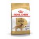 ROYAL CANIN Golden Retriever Adult granule pre dospelého zlatého retrievera  3 kg