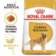 ROYAL CANIN Golden Retriever Adult granule pre dospelého zlatého retrievera  3 kg