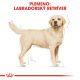ROYAL CANIN Labrador Adult granule pre dospelého labradora  3 kg