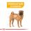 ROYAL CANIN Medium Dermacomfort granule pre stredné psy s problémami s kožou 3 kg