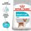 Royal Canin Mini Urinary Care granuly pre psy s obličkovými problémami 8 kg