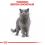 Royal Canin British Shorthair Adult granule pre britské krátkosrsté mačky 2 kg
